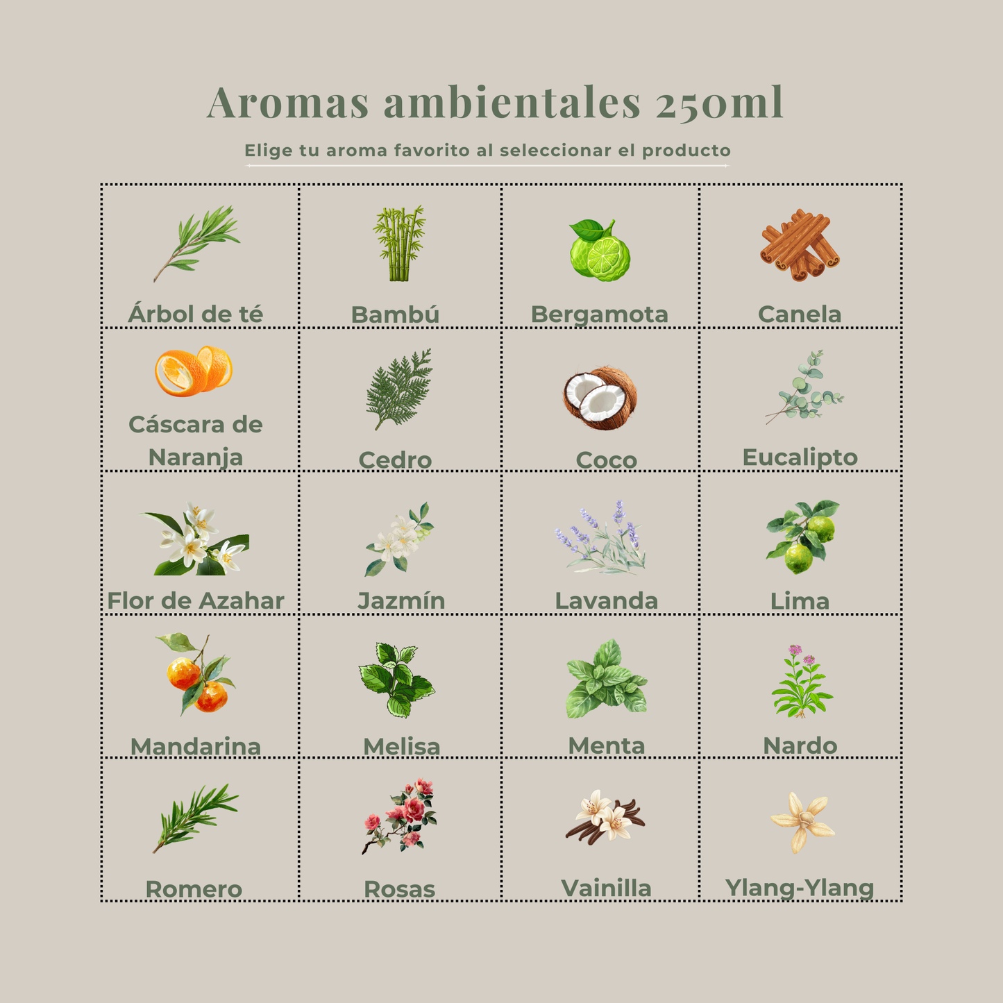Aroma ambiental CLÁSICOS 250ml